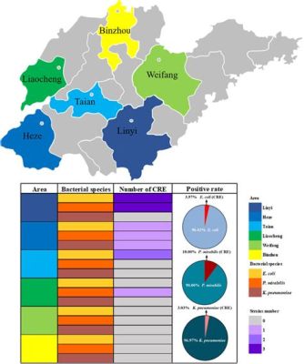 山東濱州有哪些鎮?濱州市的鎮如何分布?